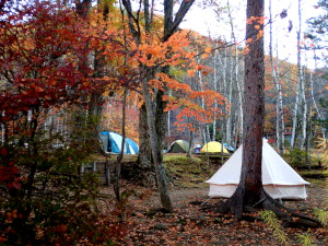 秋キャンプの画像