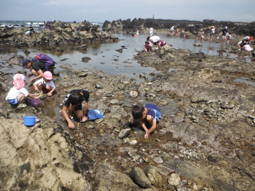 三浦半島　荒崎02の画像