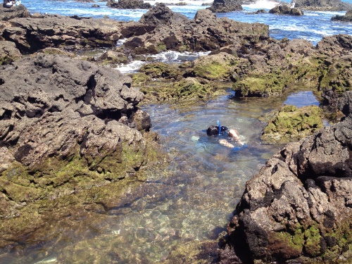 真鶴半島　三ッ石海岸の画像