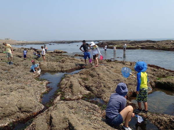 茨城県大洗海岸