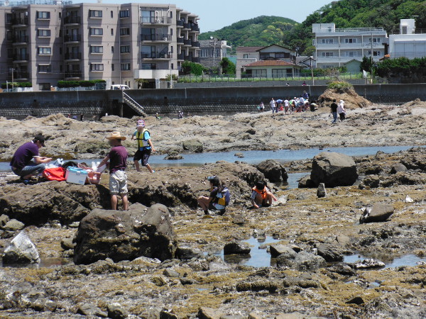 芝崎海岸