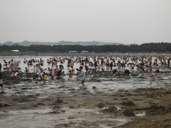 海の公園（横浜市金沢区）