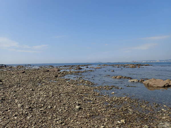 荒崎海岸