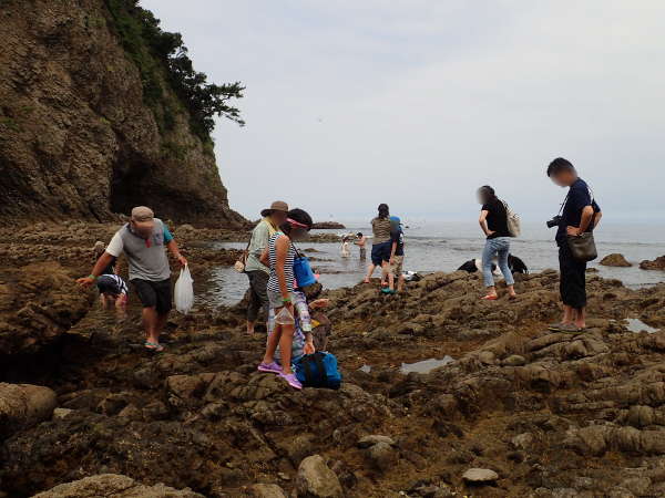 伊豆半島堂ヶ島　三四郎島のひとつ象島での磯遊び(2016/07/17：大潮　干潮時　曇り）の画像01