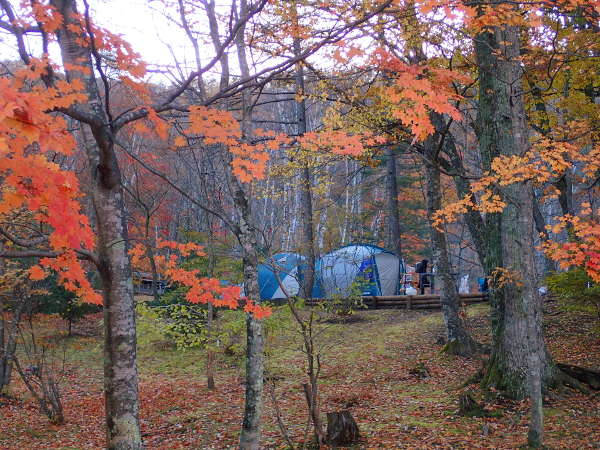 秋キャンプの楽しみ方