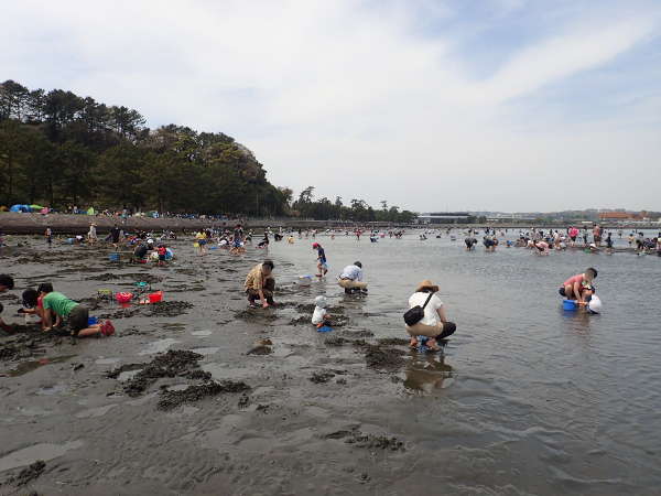 野島海岸（横浜市金沢区）