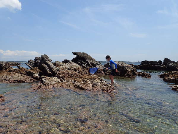 伊豆半島堂ヶ島象島