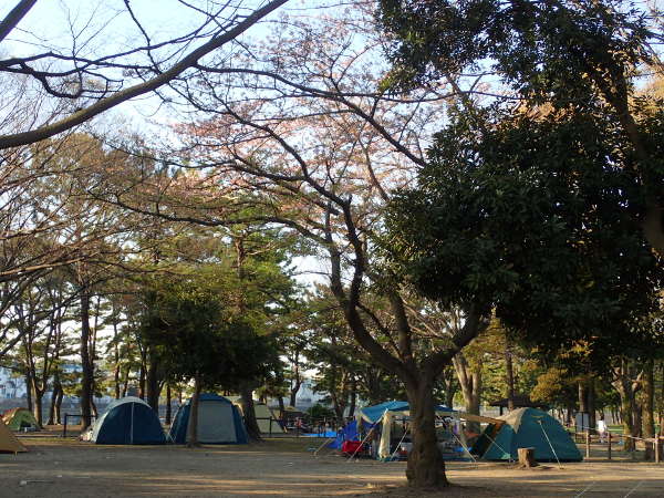 野島公園キャンプ場の中央部(2017/04/16)