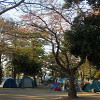 横浜市金沢区野島公園キャンプ場