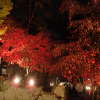 西沢渓谷:紅葉時に絶対行きたい場所
