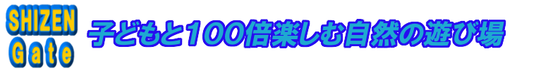 子どもと１００倍楽しむ自         然の遊び場