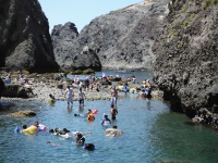 伊豆半島　宇久須港の目次画像