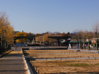 国営昭和記念公園の画像01
