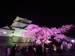 小田原城本丸広場のライトアップ（ピンク）の画像19