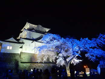 小田原城本丸広場のライトアップ（ブルー）の画像20
