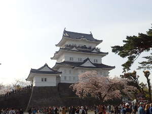 小田原城の画像29