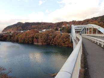 日蓮大橋と紅葉の画像16