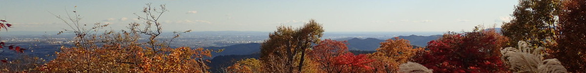 紅葉の高尾山の表紙イメージ画像