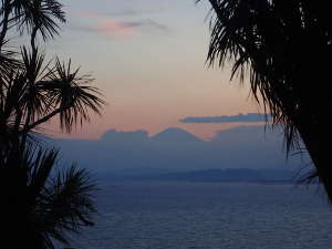 江の島サムエル・コッキング苑の夕日と富士山の画像32