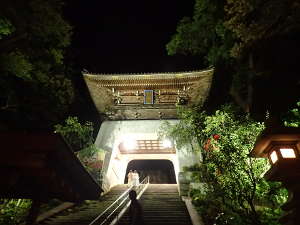 夜の江島神社の御神門の画像36