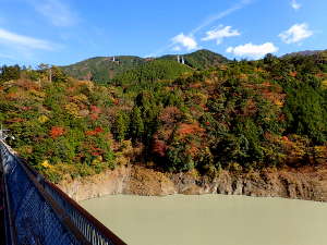 橋から見る山肌紅葉もきれいの画像19