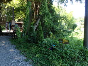 TINY CAMP VILLAGE（キャンプ場）の入口が見えるの画像34