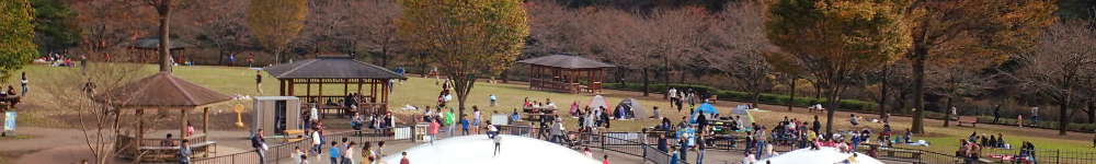 神奈川県立あいかわ公園と紅葉の表紙イメージ画像