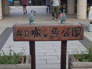 ウミウが象徴される城ヶ島公園の画像03