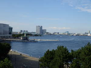 横浜駅側の景色の画像26