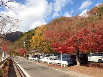 千代の沢園地の画像02