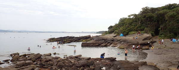 南房総 沖ノ島（北の入り江）