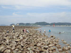 ⑥和賀江島の西側、材木座海岸側
