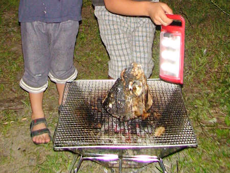 マグロのカブト焼きの画像02