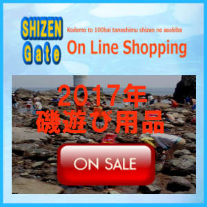 On line Shopping磯遊び用品バナー