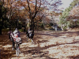 国営昭和記念公園サイクリングロードの画像06