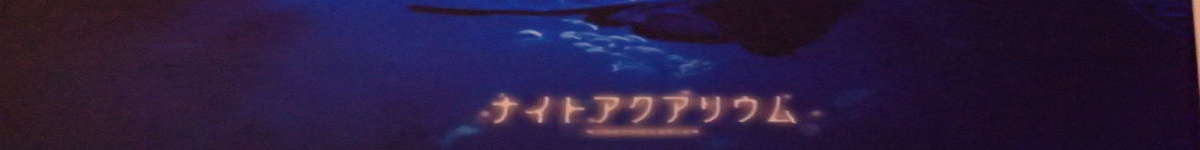 新江ノ島水族館　ナイトアクアリウムの表紙イメージ画像