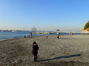 猿島海水浴場の画像14