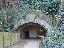 弾薬庫跡のトンネル出口の画像64