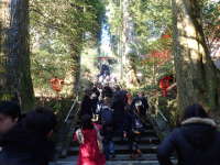 箱根神社への石段の画像29