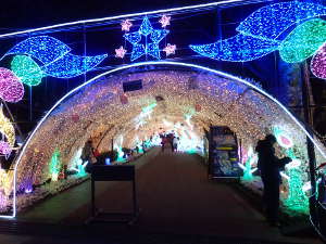 ②光のトンネルの入口の画像14