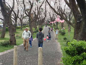 桜並木遊歩道の⑩ポイントの画像17