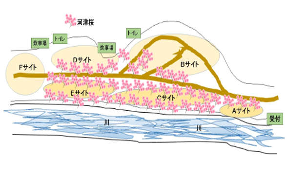河津桜が咲く青野原オートキャンプ場サイトの画像06