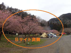 青野原オートキャンプ場Ｂサイト奥側の画像09