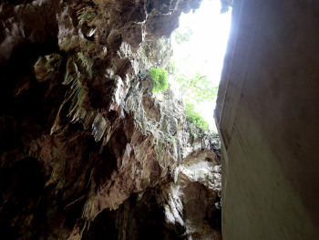 洞窟から洞窟入口を見上げるの画像13