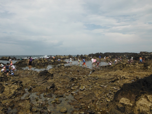 三浦半島　荒崎01の画像