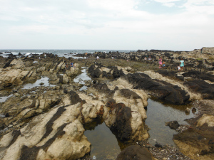 三浦半島の特徴ある岩盤