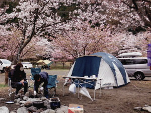 春キャンプの画像1105