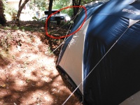 キャンプ22の画像