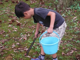 これが、「栗拾い」の画像08