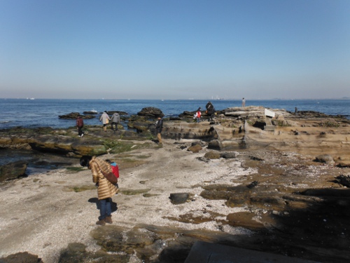 三浦半島観音崎の画像